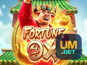 UM BET login — painel de entrada no app oficial